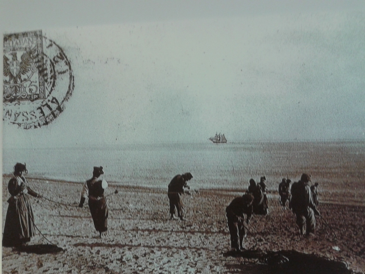 La pesca e in navigazione un veliero dei Rocca 1895