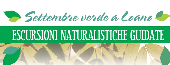 Logo Settembre verde