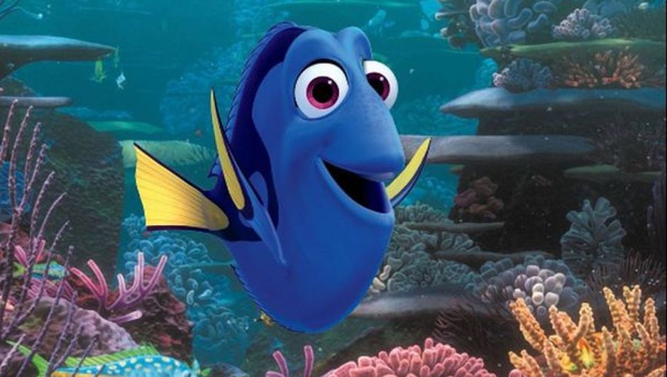 alla-ricerca-di-dory-film-curiositc3a0