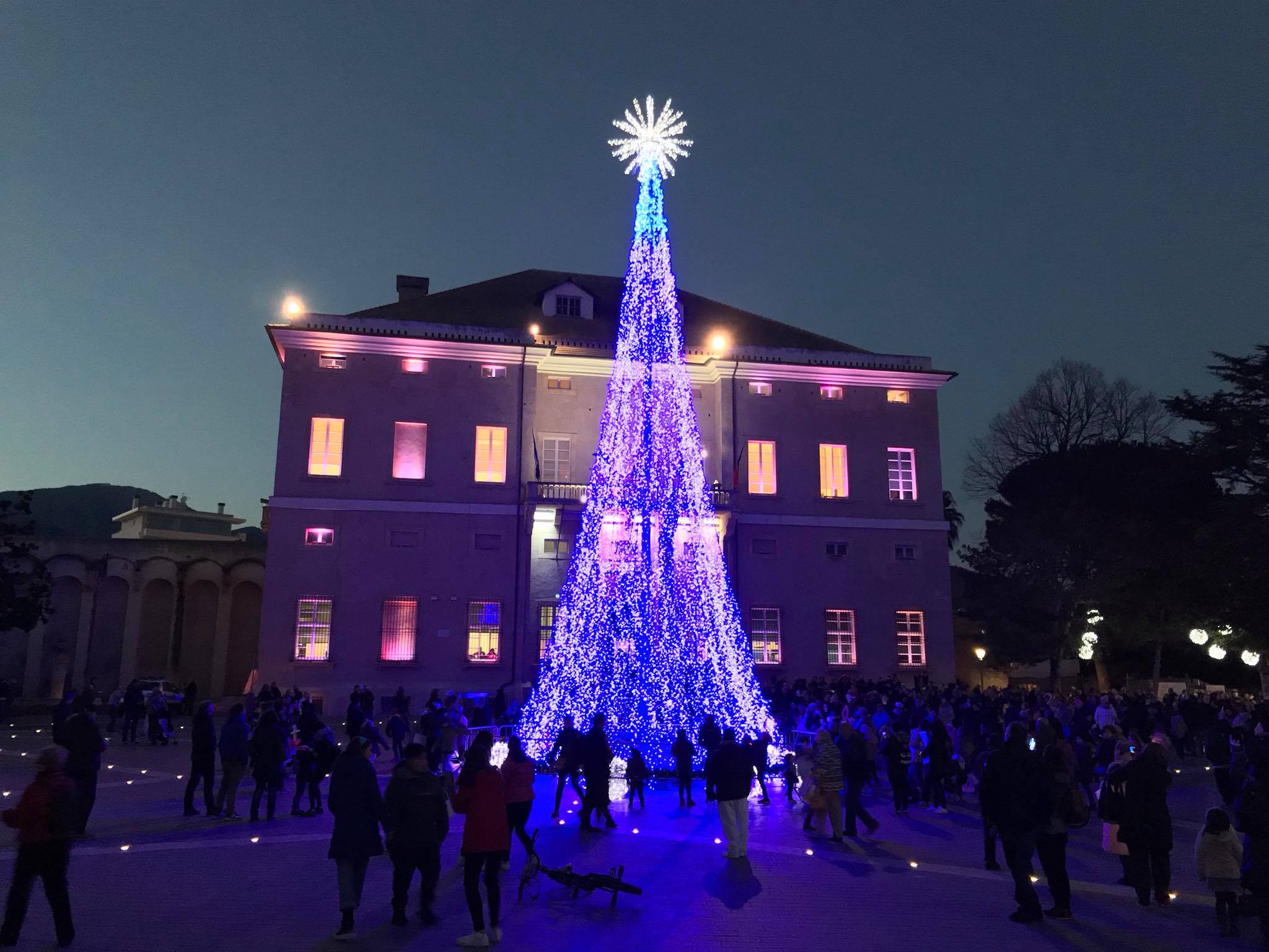 Albero Natale 01