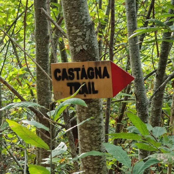 castagnata_trail