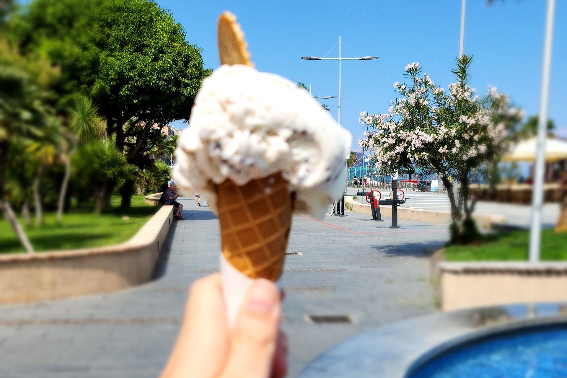 Loano specialità gastronomiche